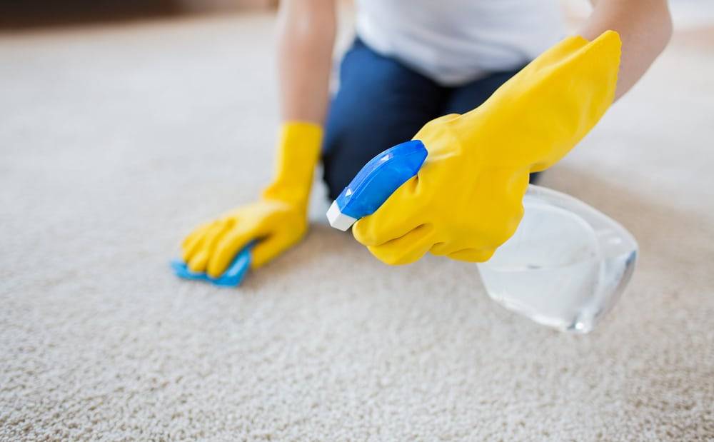 sponge carpet cleaning